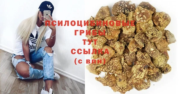 Альфа ПВП Заводоуковск